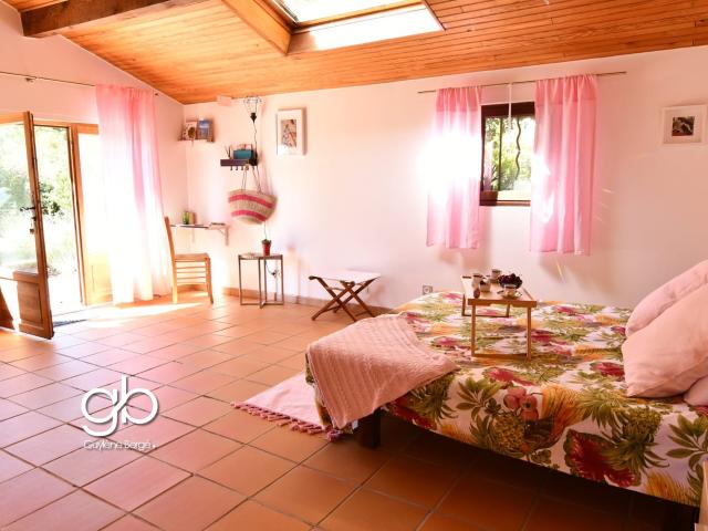 MAISON FAMILIALE + STUDIO INDÉPENDANT VUE PIC SAINT LOUP TERRAIN 900 M2 SAINT MARTIN DE LONDRES
