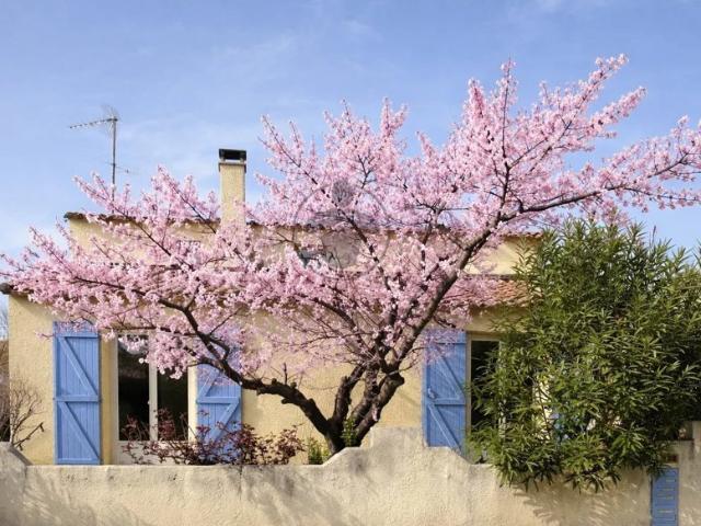 Maison de 101 m²