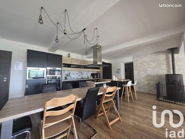 Maison familiale 8 pièces 359 m²