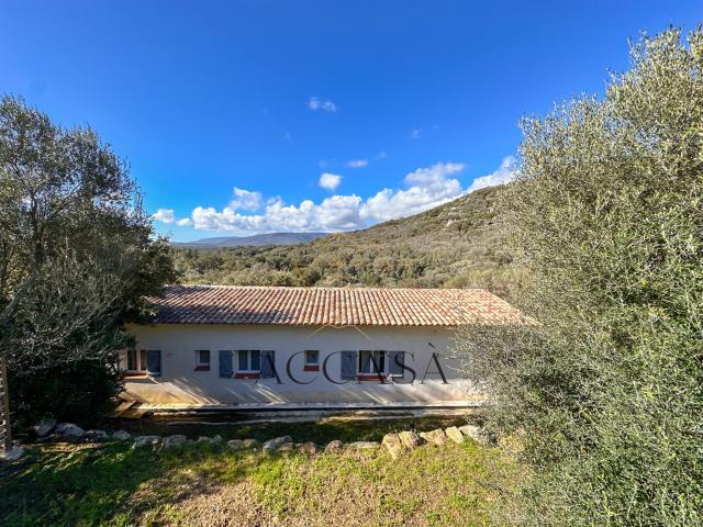 Maison Figari Ogliastrello 120 m2 terrain 1000 m2 vue montag. 120m² Figari