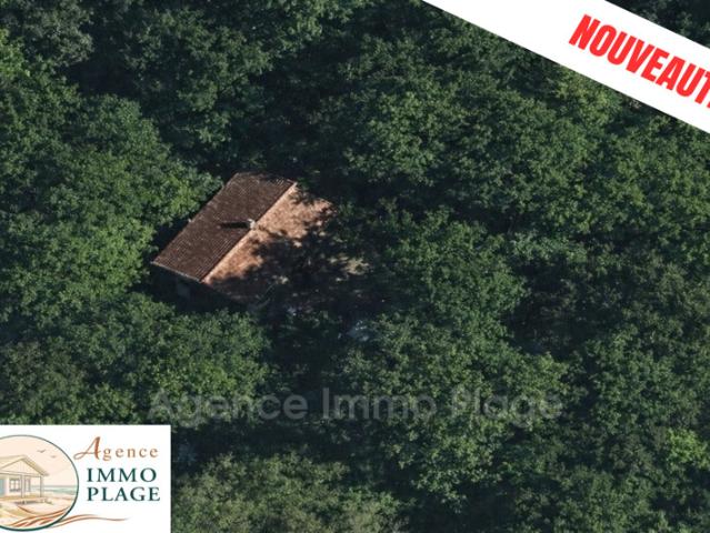 MAISON INDIVIDUELLE au milieu des bois 80 M² TERRAIN 7 403