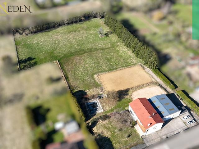 Maison individuelle avec installations équestres