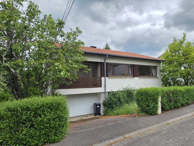 Maison individuelle avec jardin et garage Châtel Saint Germain