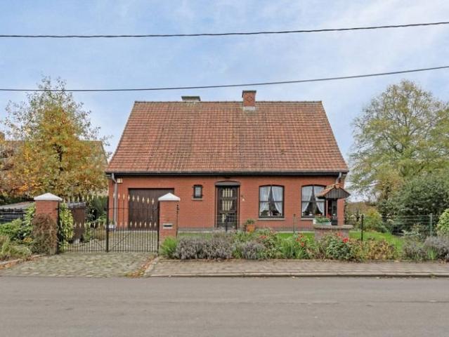 Maison individuelle à vendre à Dikkebus sur 981m²
