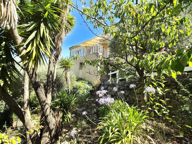 Maison individuelle Drap: 2 appartement  stationnement  jardin  vue