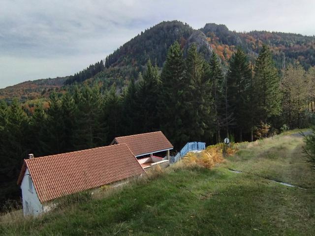 Maison isolée en pleine nature