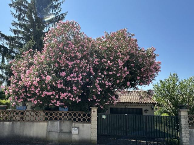Maison louée surper affaire