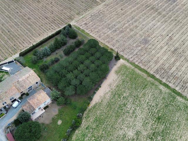 Maison Laure Minervois 4 pièce s 105 m2 105m² Laure Minervois