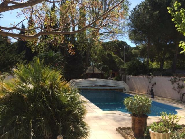 Maison la Grande Motte 850M2 de terrain + Pisicne