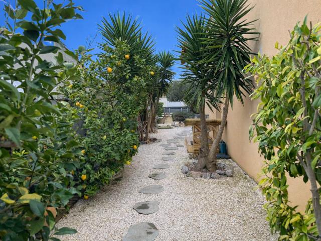 Maison Lezignan Corbieres 4 pièce s 140 m2 140m² Lézignan Corbières