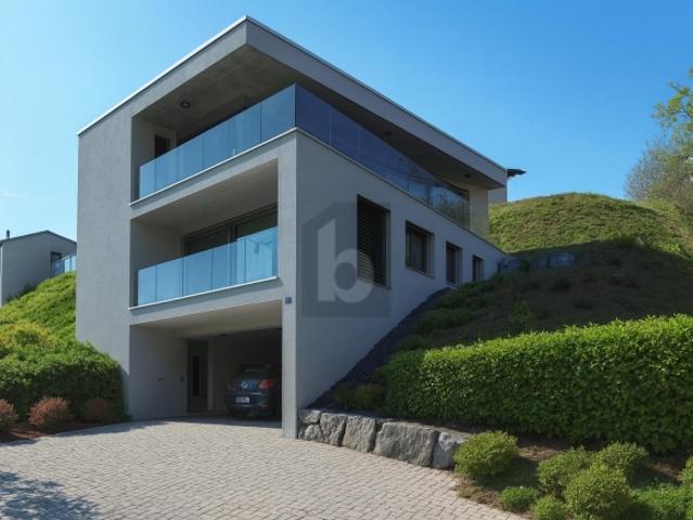 MAISON MODERNE AVEC ASCENSEUR ET PANORAMA