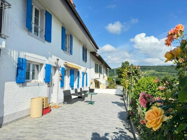 15 MIN DE LAUSANNE charmante maison familiale