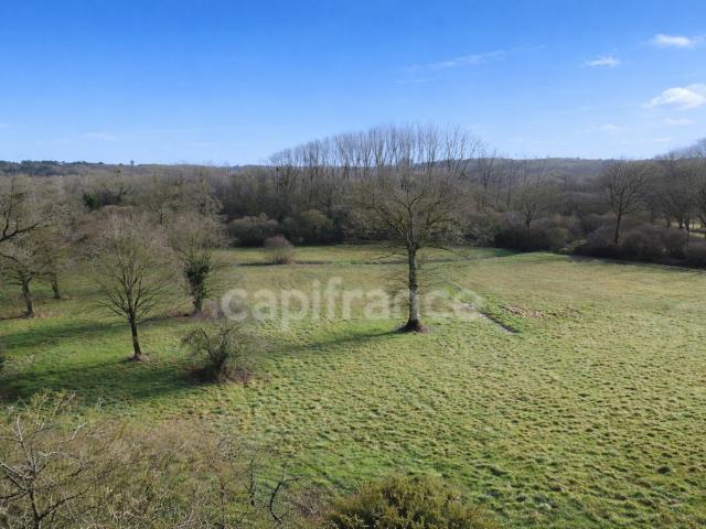 Maison mitoyenne en pierres à rénover avec 2 hectares de terrain plat à Carentoir – Idéal chevaux et projets nature.”