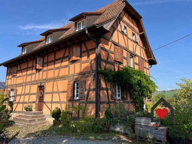 Maison multifamiliale de charme avec trois appartements 234m² Kembs