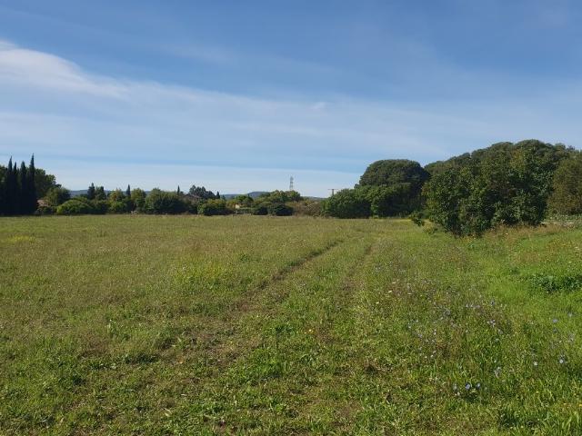 Maison neuve 4 pièces 80 m²