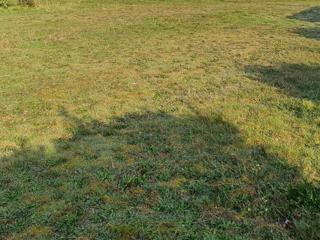 Maison neuve 4 pièces 90 m²