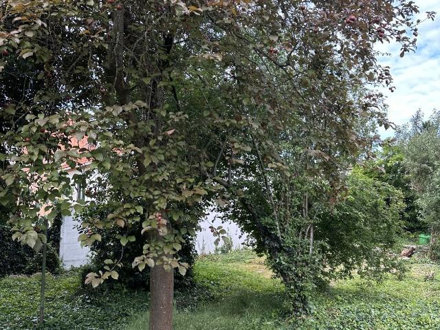 Maison neuve 5 pièces 120 m²