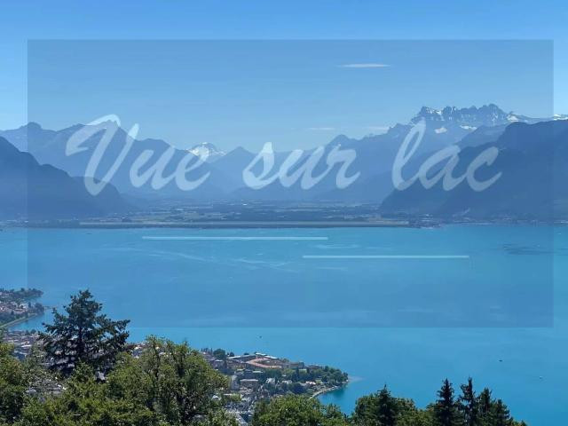 Maison neuve de 4 chambres, vue panoramique sans nuisances! Dreamo. Ch