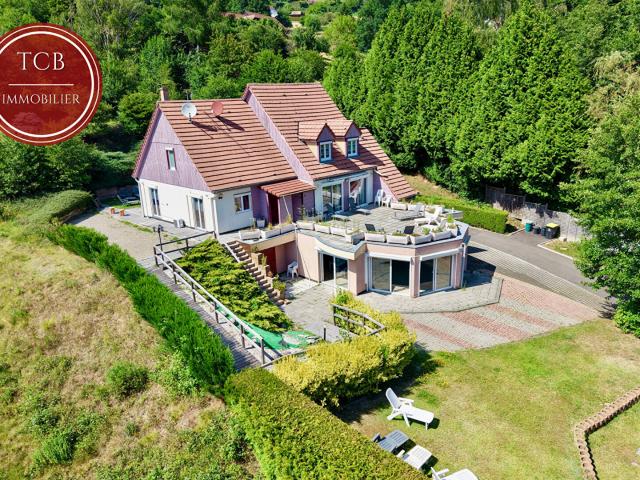 Maison Saint Amarin 17 pièce s 470 m2