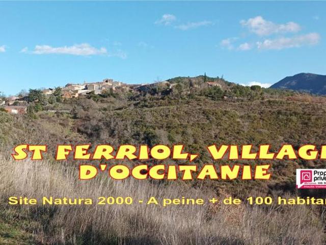 Maison Saint Ferriol 7 pièce s 136 m2