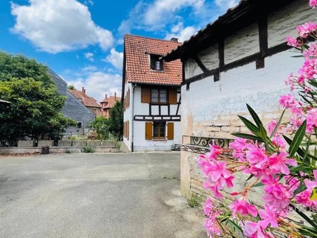 Maison sur 11,8ares dans le vieux Schiltigheim