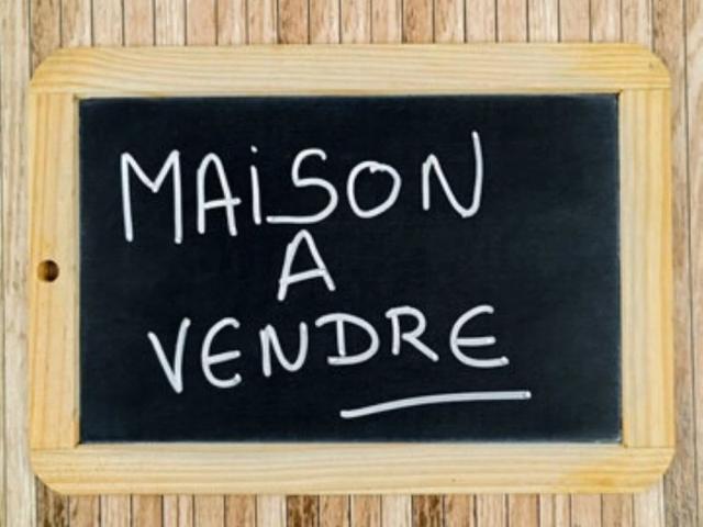 Maison Pont L Eveque, maison de ville avec jardin