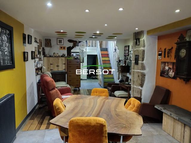 Maison Port Sur Saone 10 pièce s 206 m2