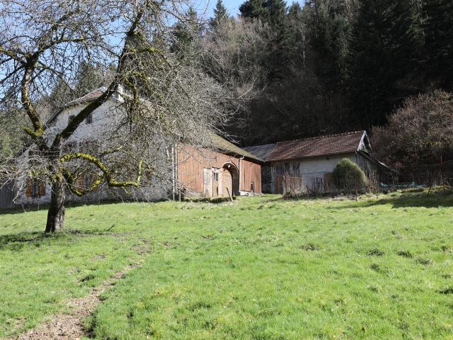 Maison paysanne au caractère fort avec 3,7 ha de terrain 90m² Servance Miellin
