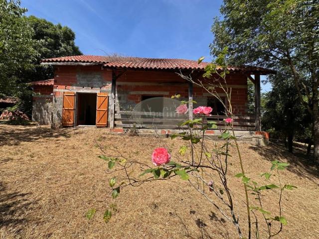 Maison petit prix, terrain