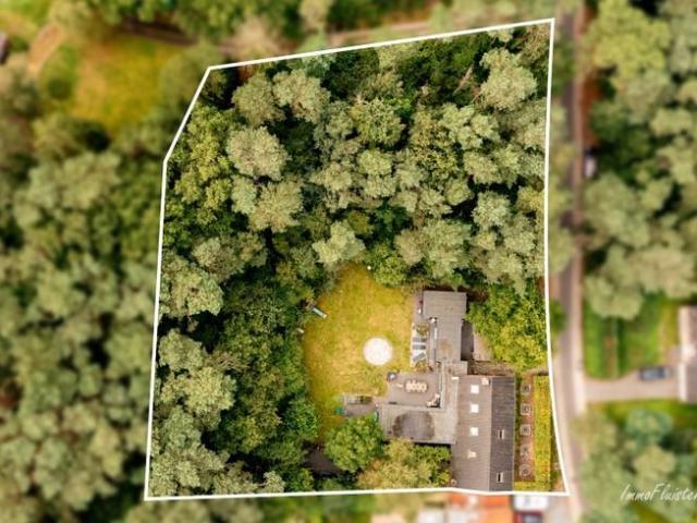 Maison prête à emménager dans un environnement boisé d'envi