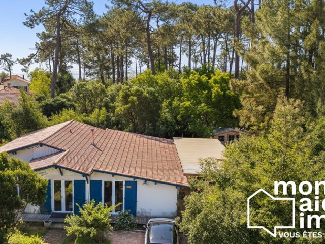 Maison rénovée 4 chambres sur terrain arboré