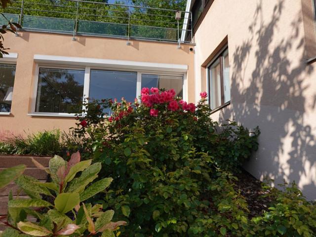 Maison Wintzenheim 10 pièce s 299.77 m2
