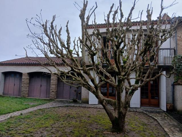 MAISON T3 CV GAILLAC