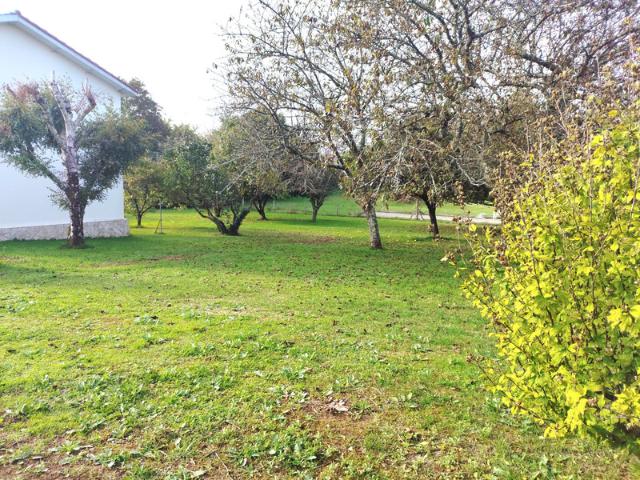 Maison T4 de 96 m² avec garage et grand terrain – Saint Germain de Lusignan