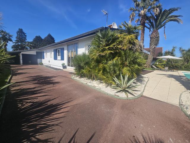MAISON T6