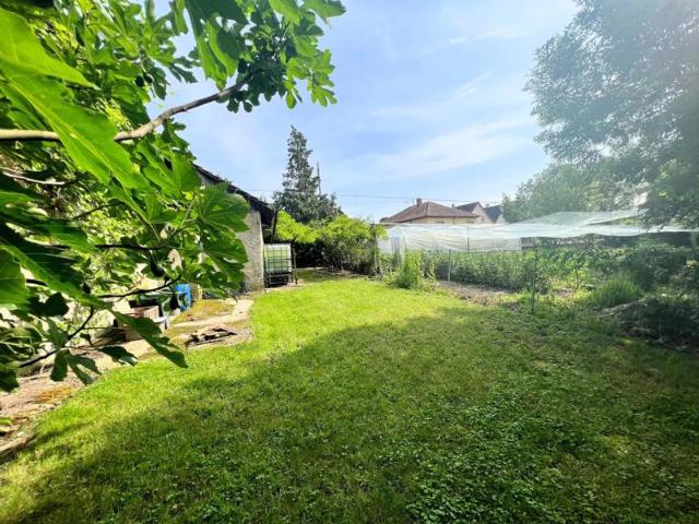 Maison traditionnelle de 204 m2 de surface avec une Grande de 300m2 et un local indépendant sur 12 ares de terrain