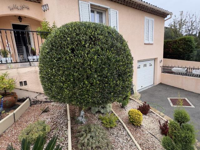 Maison en viager occupée à Pierrevert