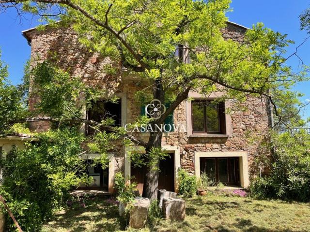 Maison vigneronne