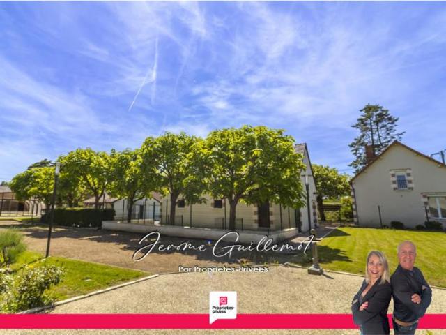 Maison Villefranche Sur Cher 12 pièce s 291.5 m2
