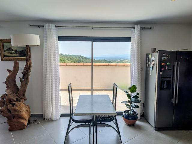 Maison Villeneuve De Berg 7 pièce s 280 m2