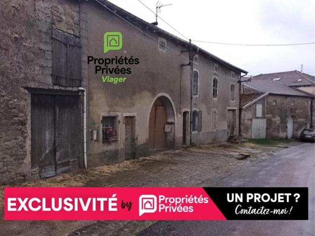 Maison Viomenil 14 pièce s 230 m2, EN VIAGER OCCUPÉ!