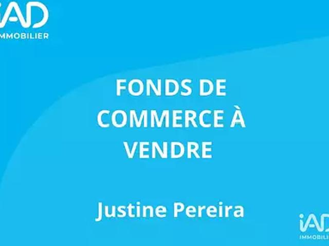 Maisons Laffitte 78600 Achat / Vente divers