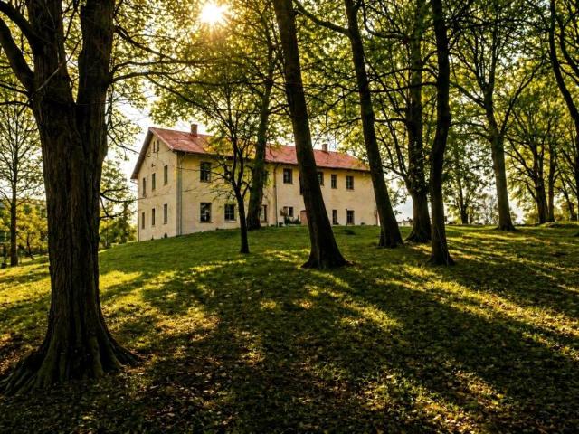 Majątkowa 940 m², Milice