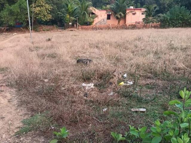 Majali 1936 Sq.Yd. Plot in Majali Karwar Listing ID: #10116