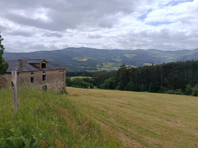 Majestuosa casona de piedra de 1890 con 6.500 m² de finca en la Reserva de la Biosfera Oscos Eo