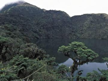 Majestuosas 6670 Hectáreas Cerca del Parque Nacional Sangay