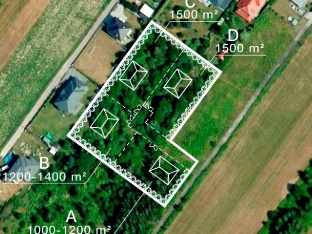 Majowa 1 000 m², Wyględy