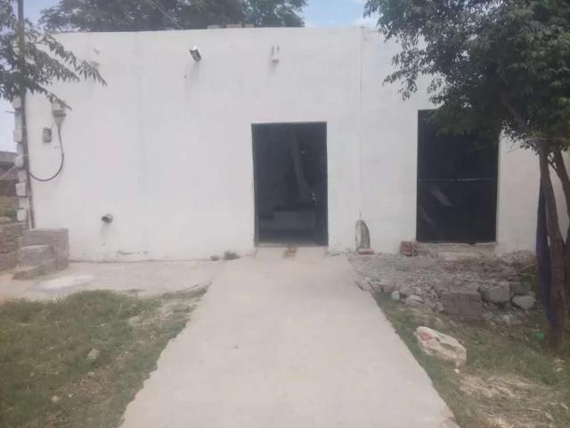 Makan for sale Chakwal ID 65035