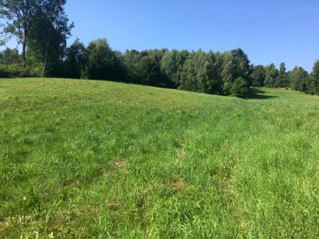 Makoszyn 2 950 m², Bieliny