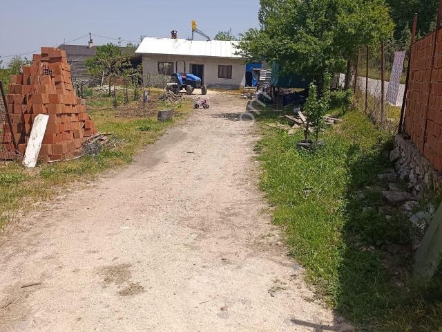 Maksempinar Merkezde Anayola Cephe Müstakil Kiralık 2.150 Mt2 Çiftlik Ve Evi